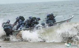 蛟龙猛虎大火拼