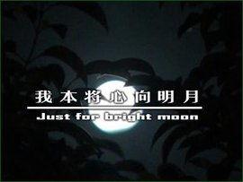 不忠（我本将心向明月）,揭秘不忠背后的情感纠葛