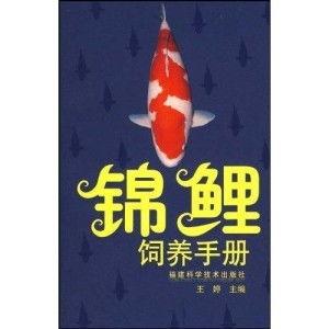 锦鲤饲养手册,从入门到精通